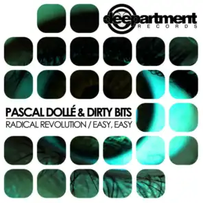 Radical Revolution EP