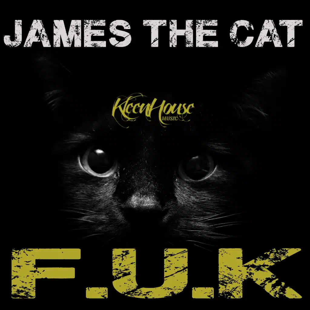 F.U.K. (Original Mix)
