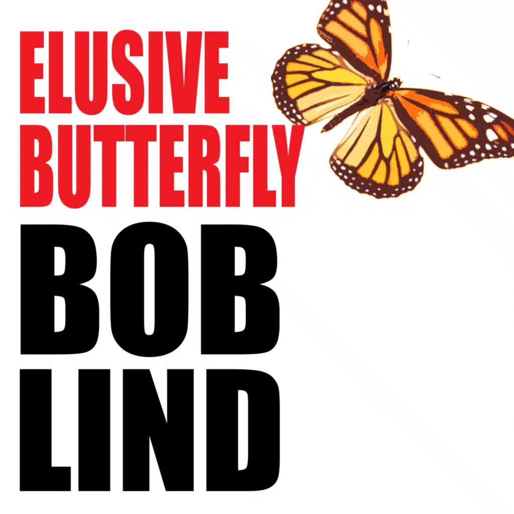 Elusive Butterfly (Rerecorded)