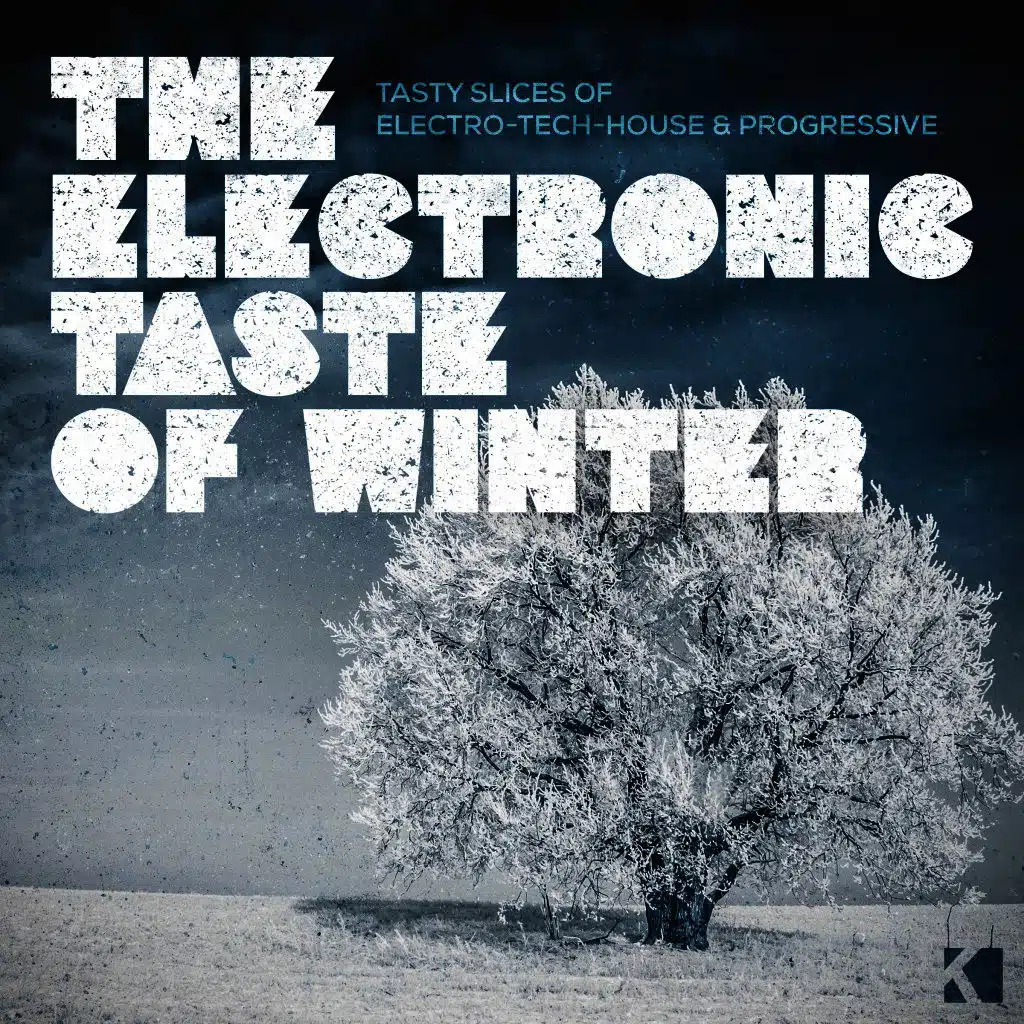 The Electronic Taste of Winter