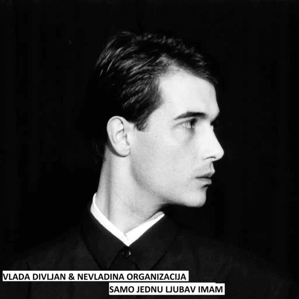 Vlada Divljan & Nevladina organizacija