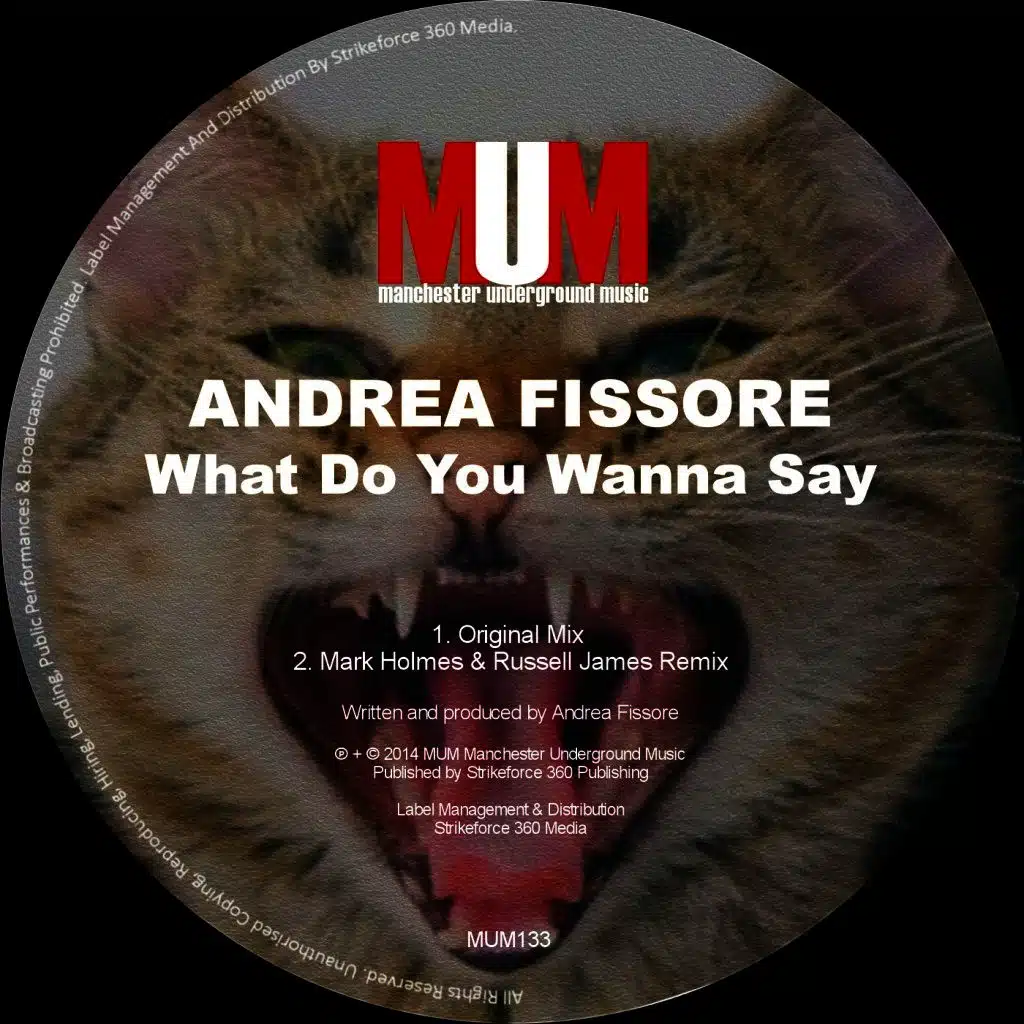 What Do You Wanna Say