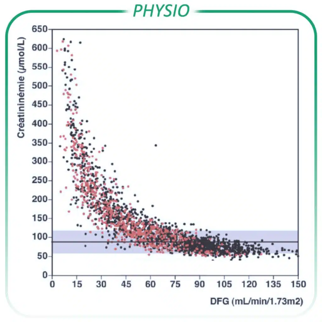 Estimation du DFG