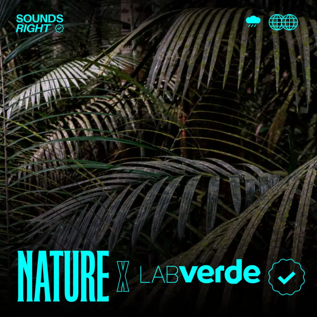 The Hidden Sounds of Amazônia