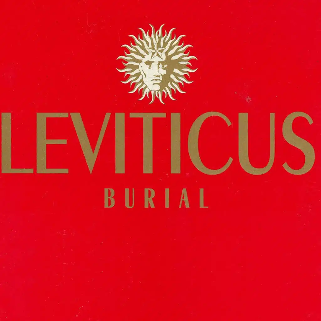 Burial (Chronic 1) (Radio Edit)