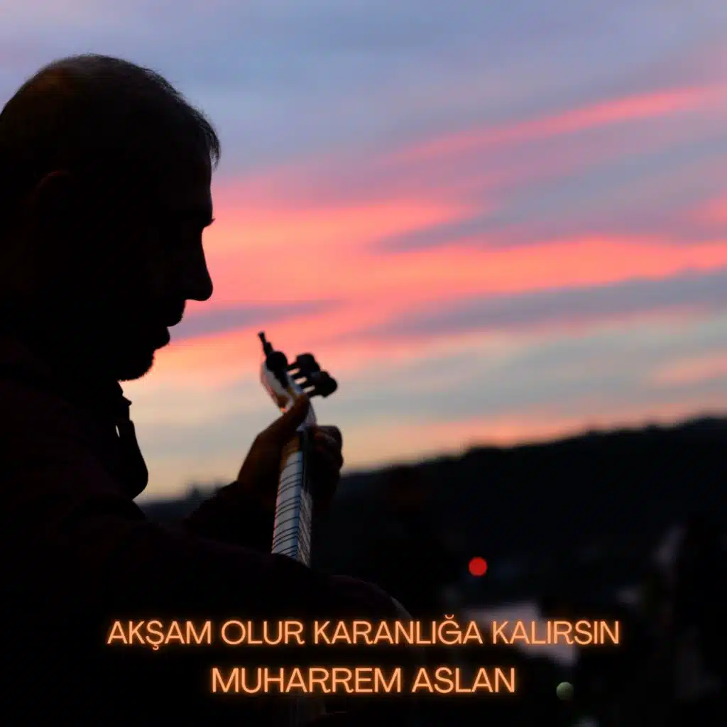Muharrem Aslan