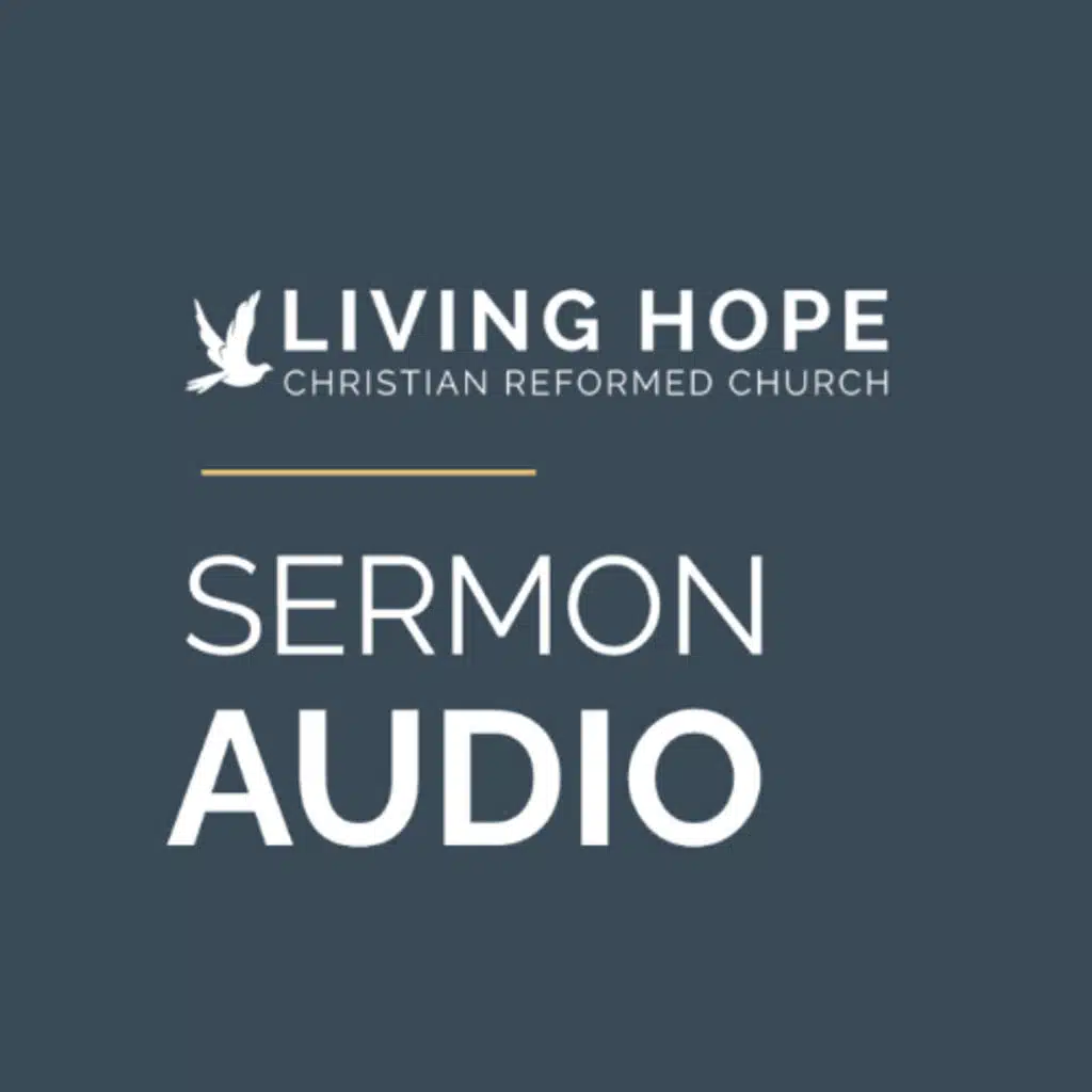 Gleaning // Leviticus 19:9-10, Deuteronomy 24:19-22 //  Pastor Steve Berkenpas