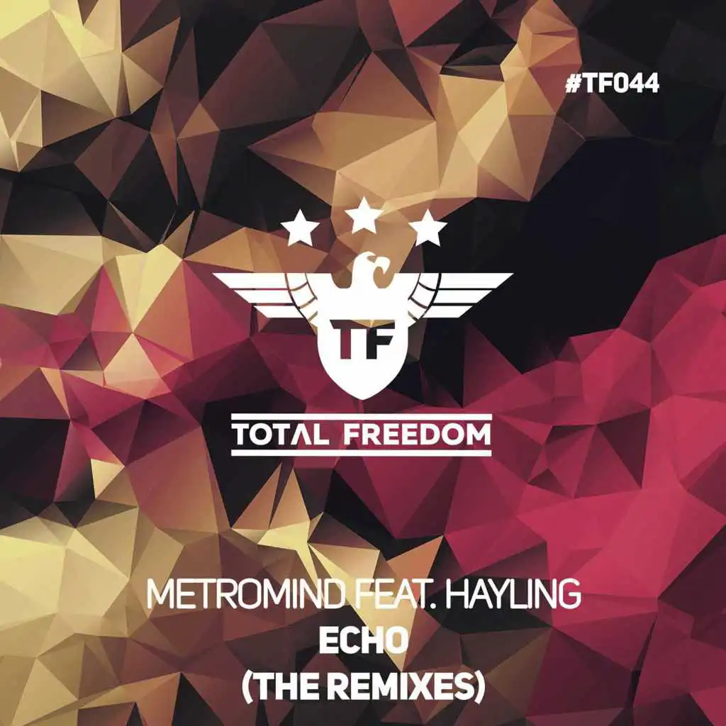 Echo (feat. Hayling) The Remixes