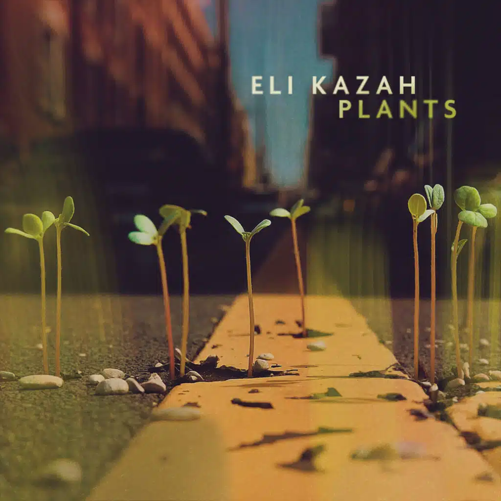 ELI KAZAH