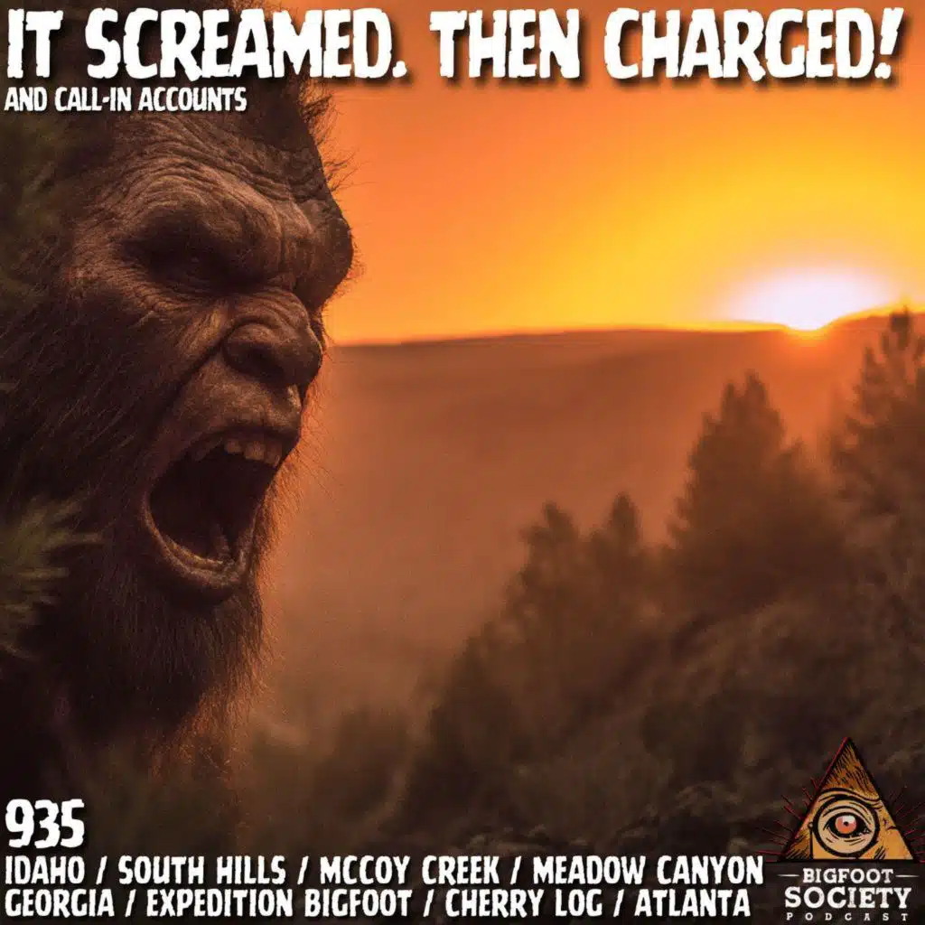 It Touched My Head Through the Tent! | Idaho