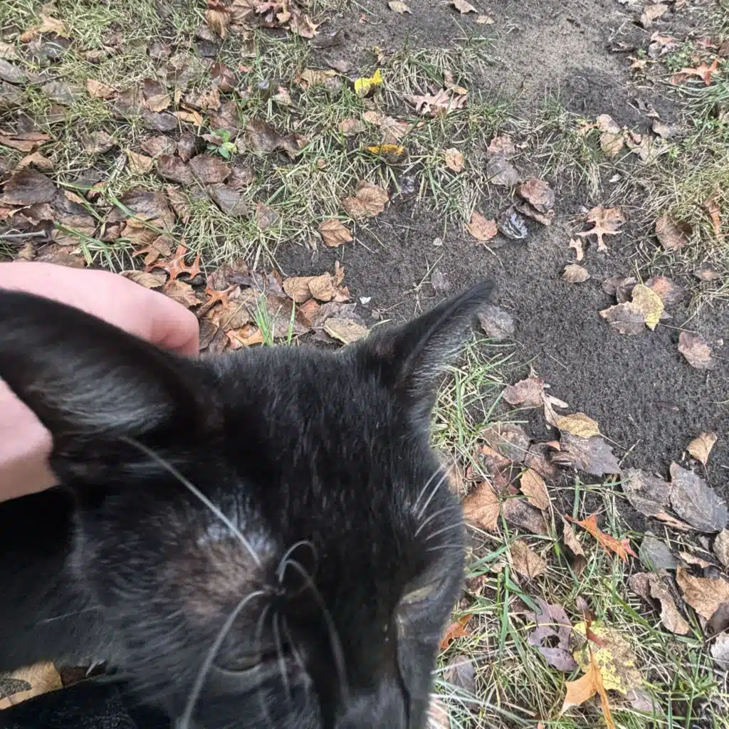 Love the sUn but hate yEllOw