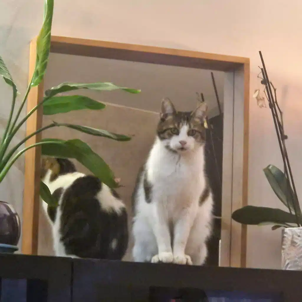 PIEDS JOINTS DANS LA MOUSSE