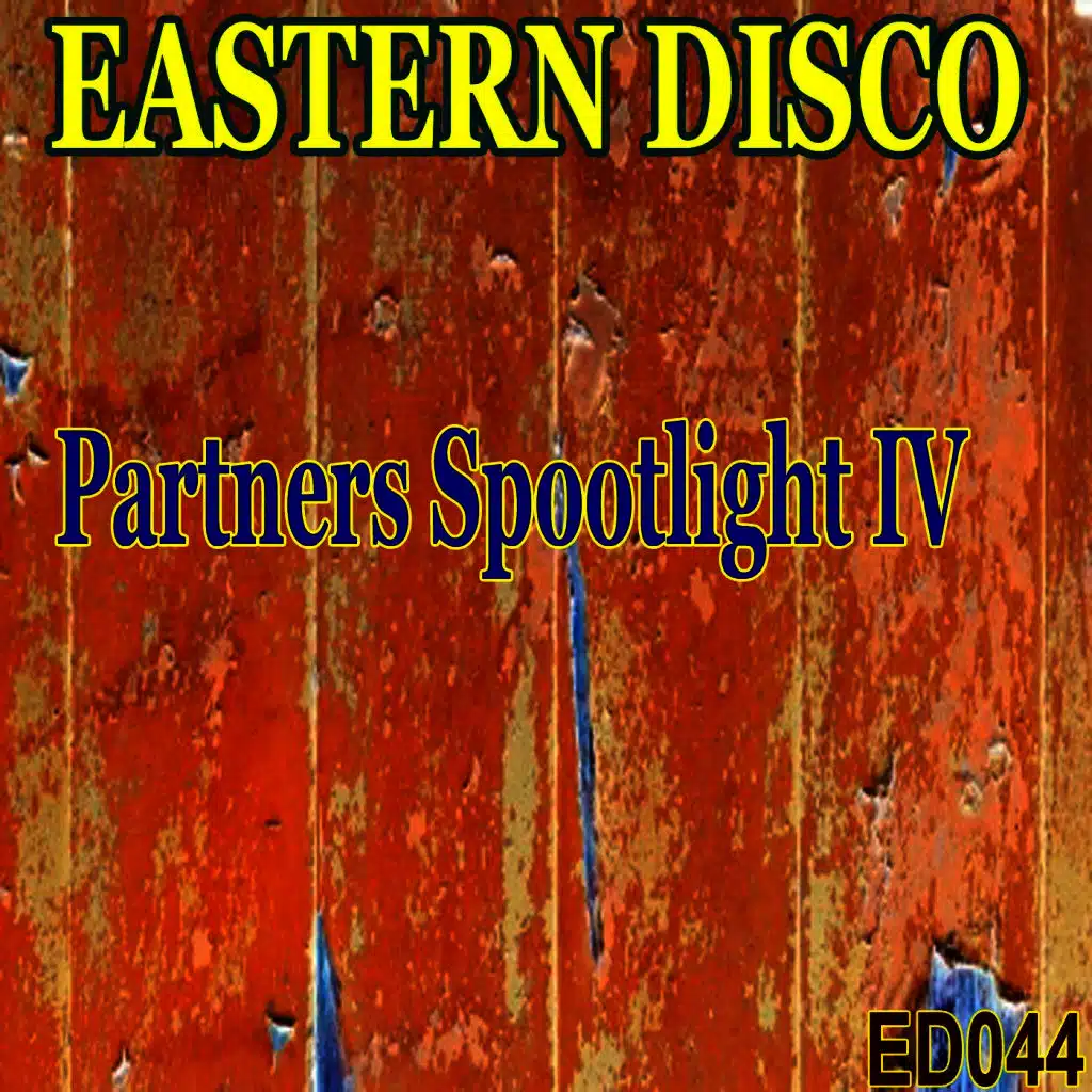 Partners Spootlight, Vol. 4