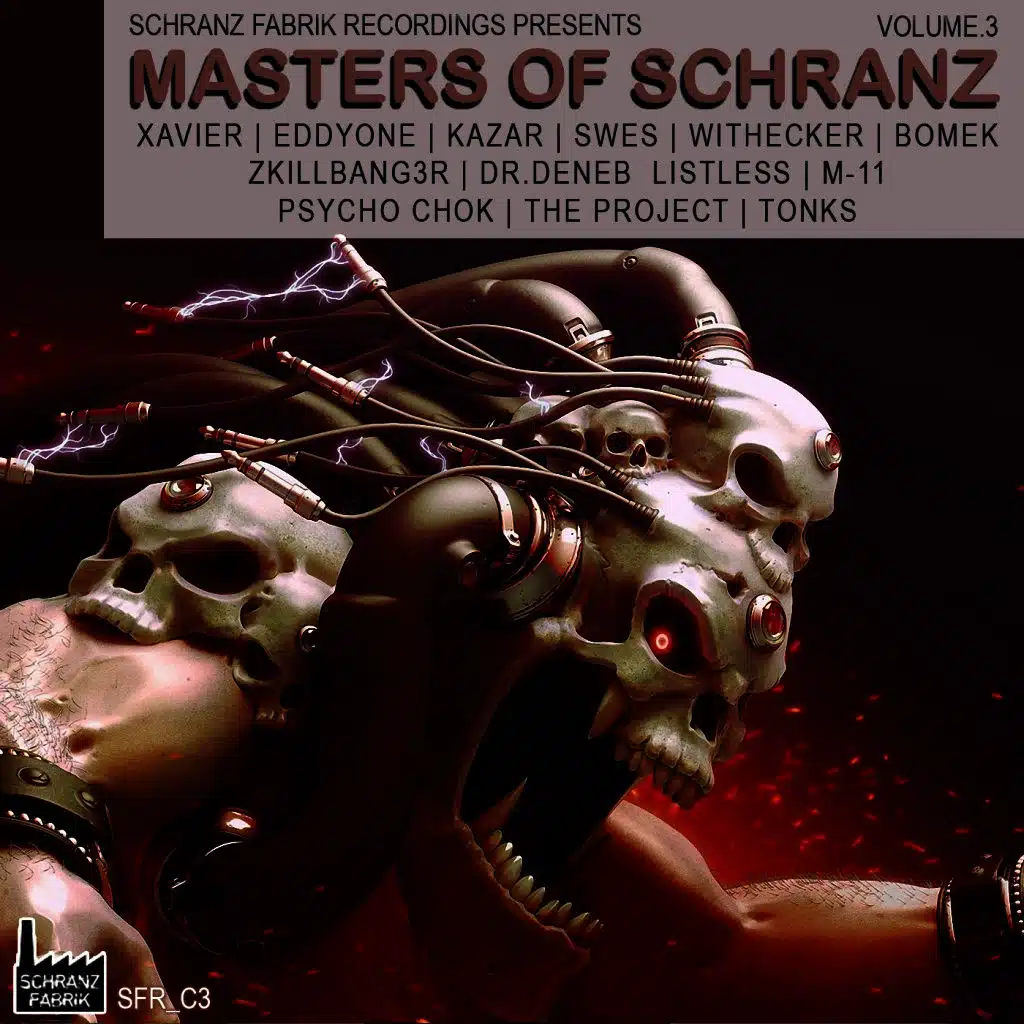 Masters of Schranz, Vol. 3