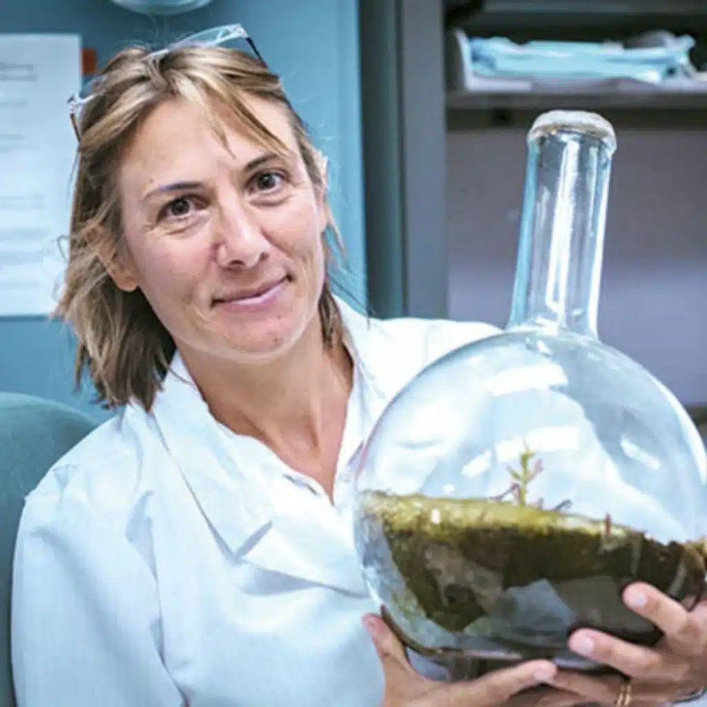 The Bittersweet Past: Conversations with a Lab Girl (with Hope Jahren)