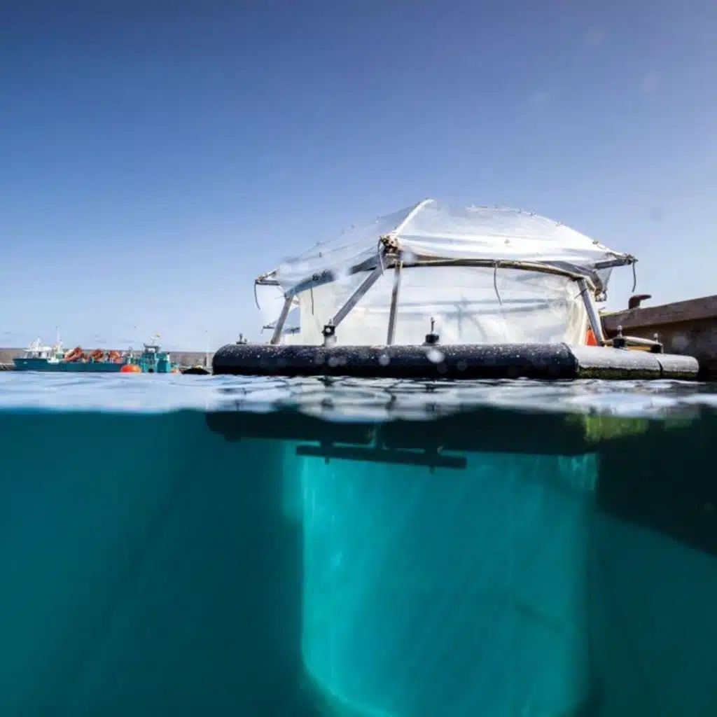 C&EN Uncovered: Can altering ocean chemistry fight climate change?