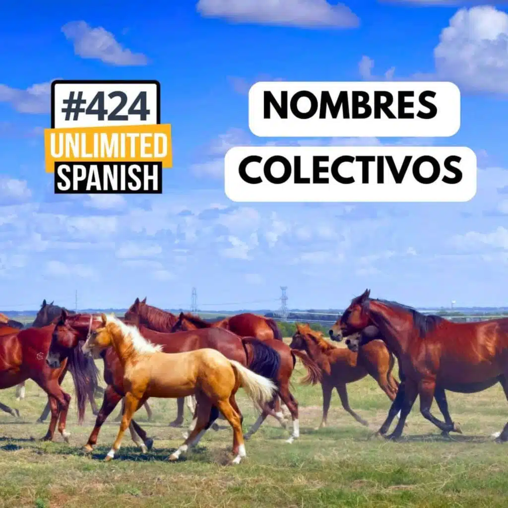 #424 Nombres colectivos en español