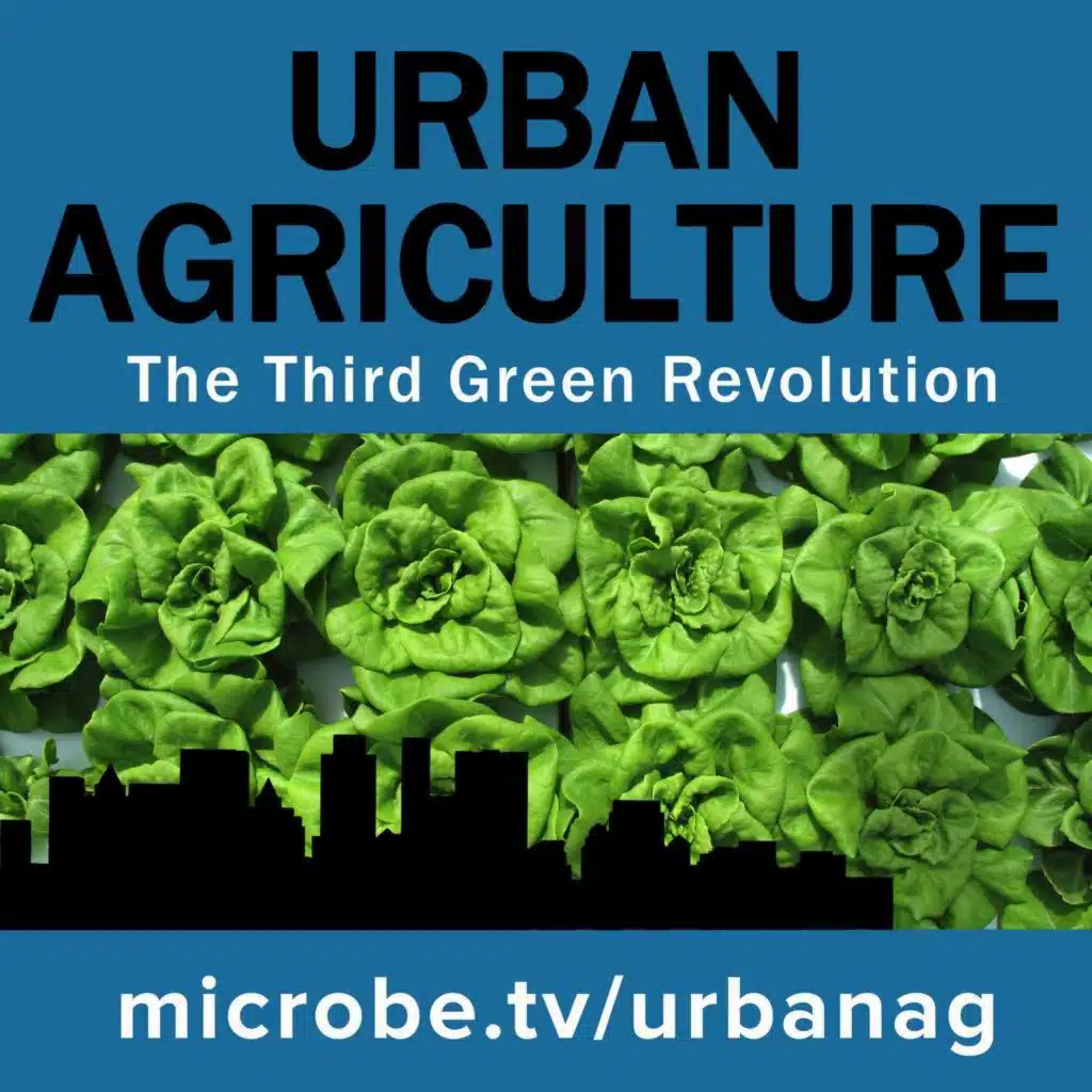 Urban Agriculture 22: Clare-ity of thought