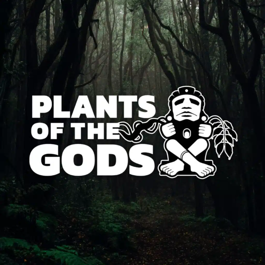 Plants of the Gods: S7E3. Part Two —The Ethnobotany of Salvia with Dr. Chris McCurdy