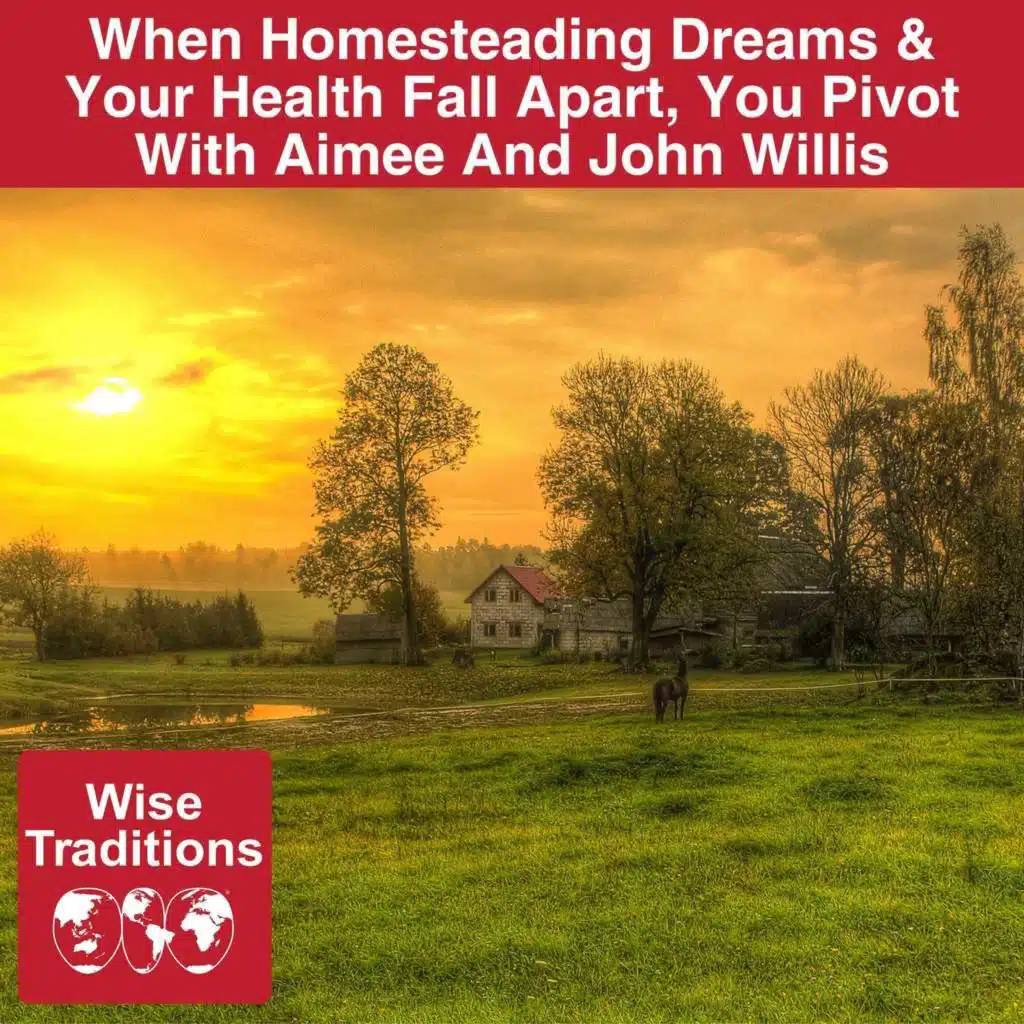 549: When Homesteading Dreams & Your Health Fall Apart, You Pivot With Aimee And John Willis