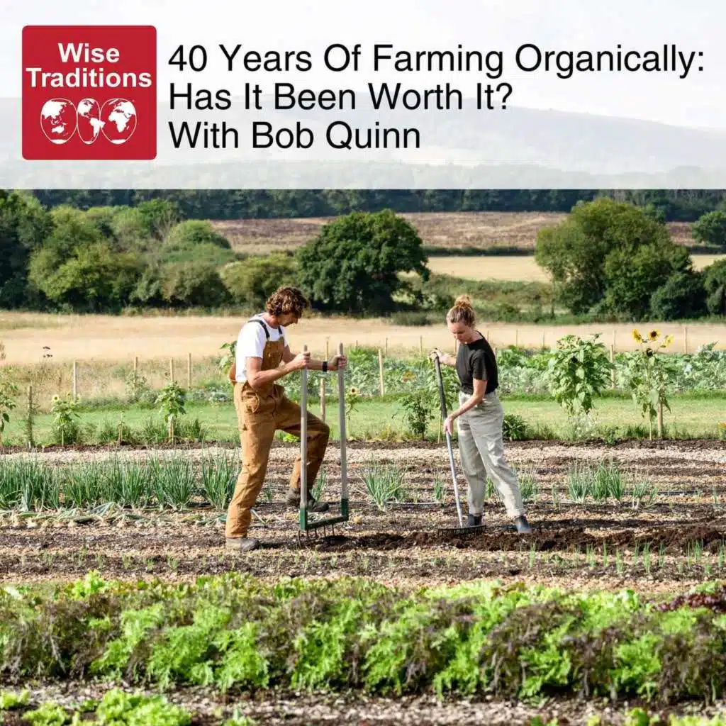 542: 40 Years of Farming Organically: Has it Been Worth It? With Bob Quinn