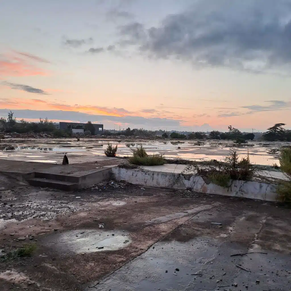 Yellow's Bathed In Sunlight
