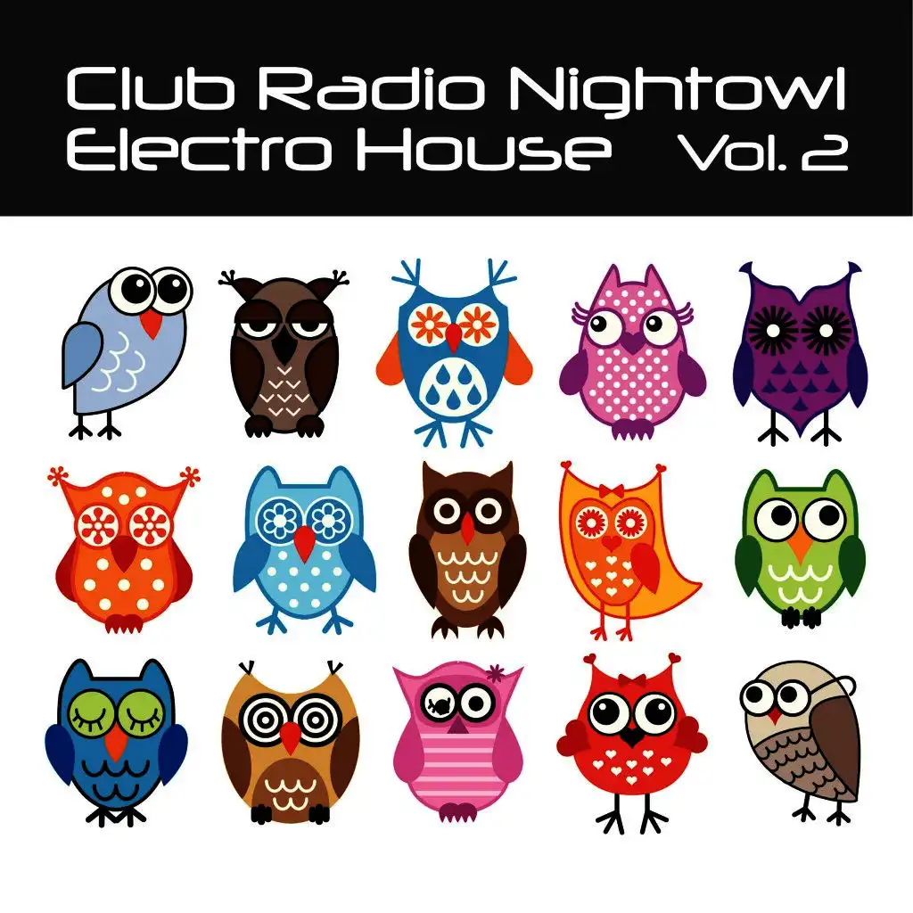 Club Radio Nightowl Electro House, Vol. 2