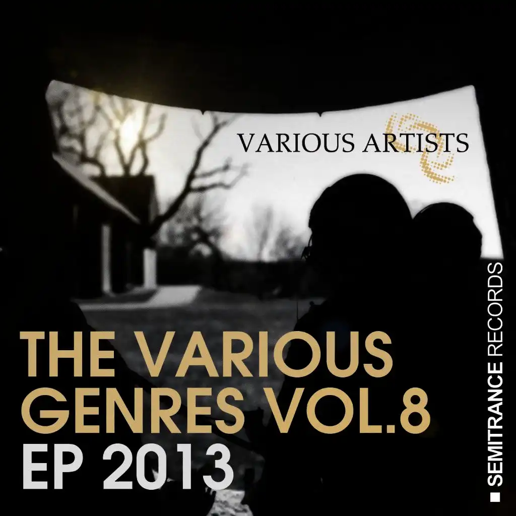 The Various Genres, Vol. 8 EP 2013