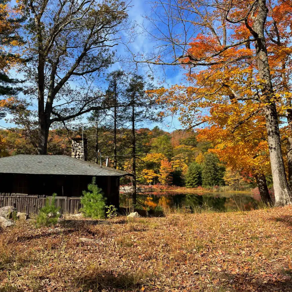 Jack Marcin Wisniewski