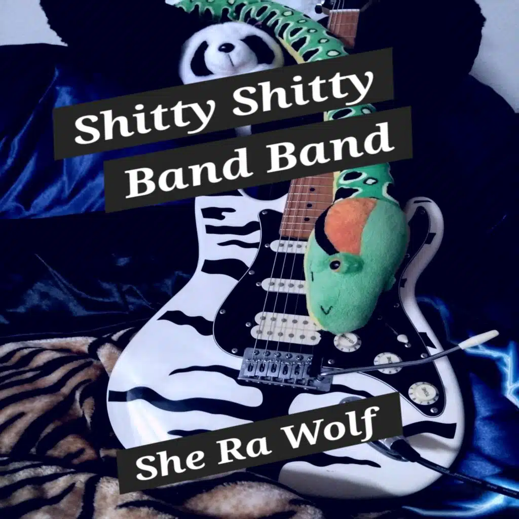 Shitty Shitty Band Band