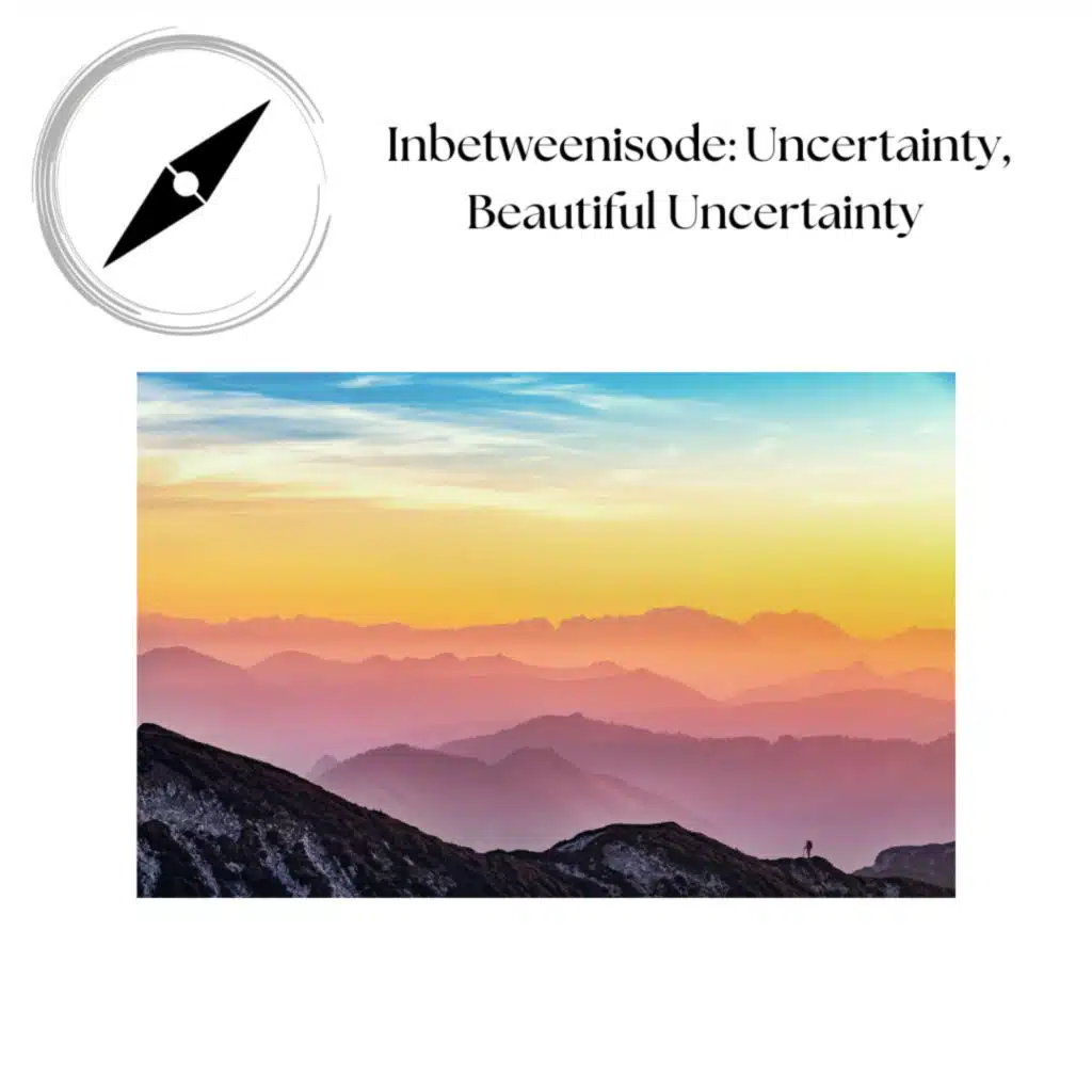 Inbetweenisode: Uncertainty, Beautiful Uncertainty