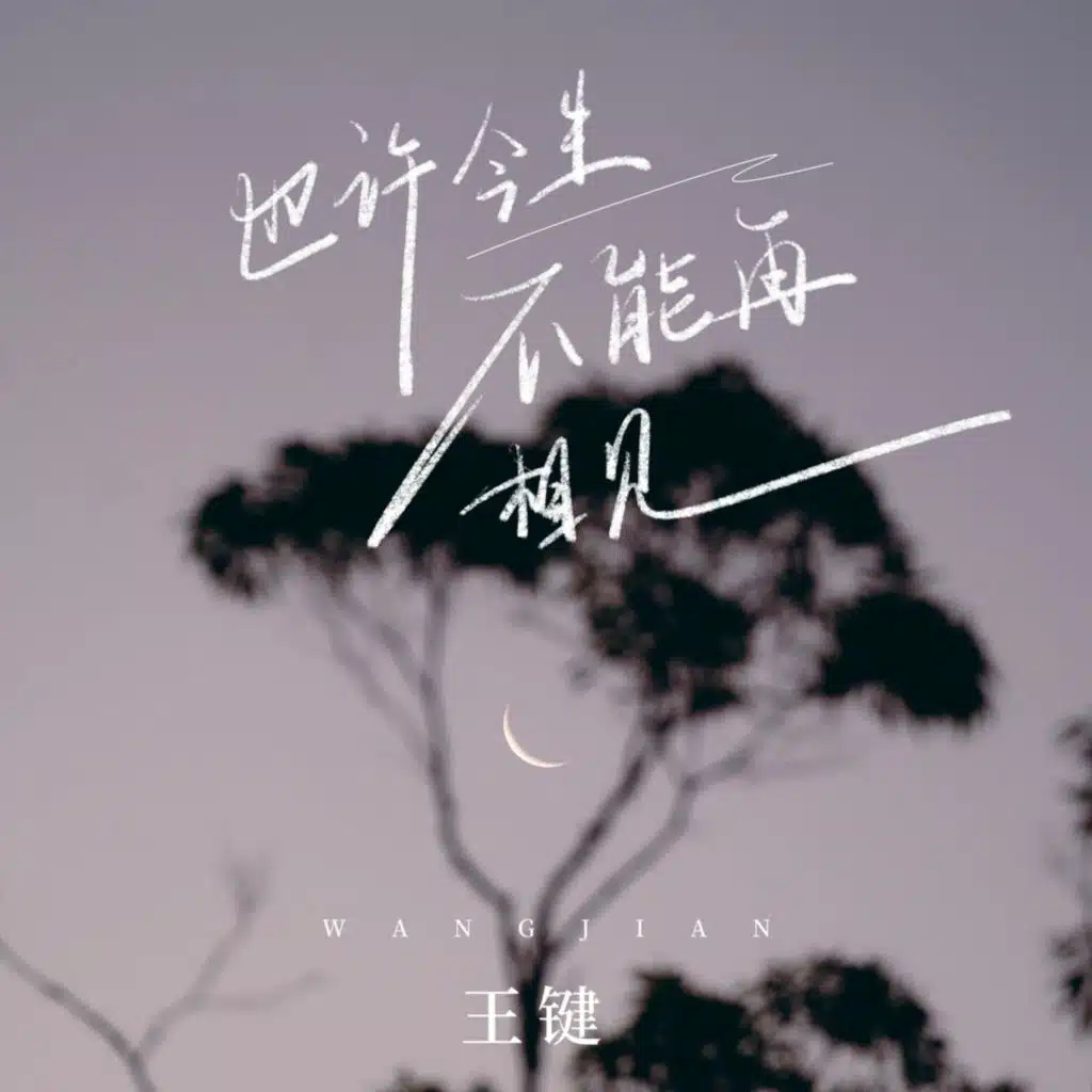 也许今生不能再相见