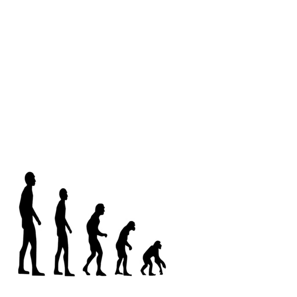 СТЕРЕО ШИРИНА