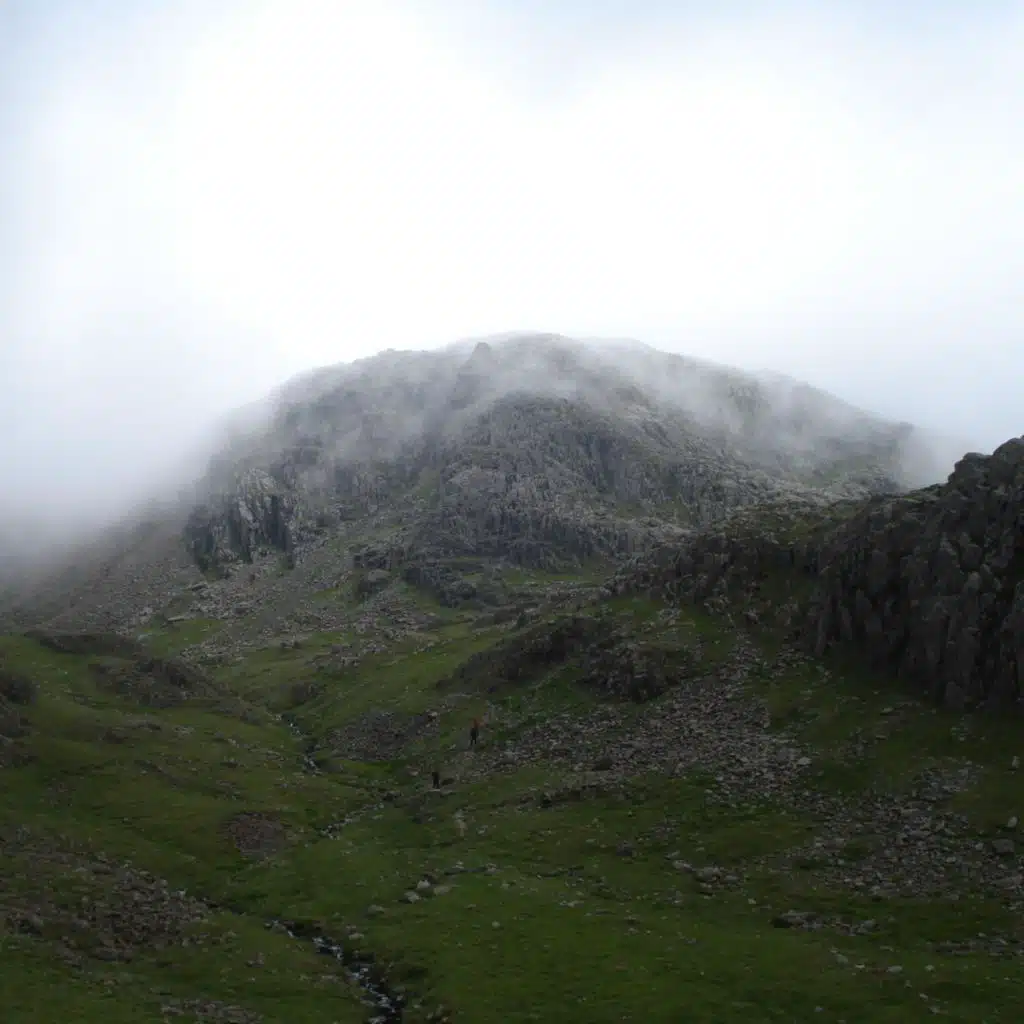 Daniel Thomas Freeman