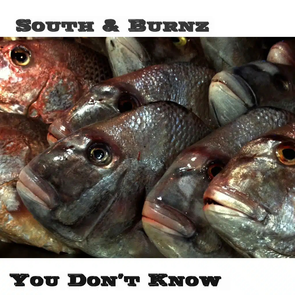 South & Burnz