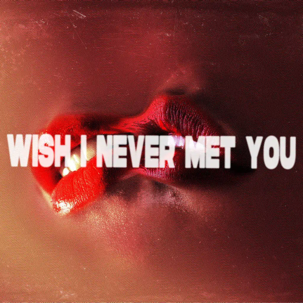 Wish I Never Met You (Extended Mix)