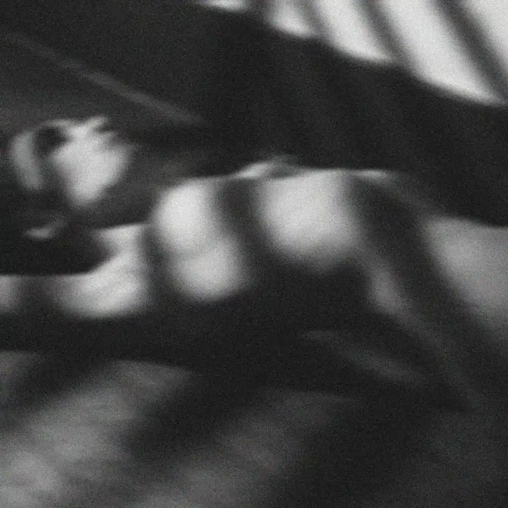 Seeds of Despair (Edit) [feat. Kassin]