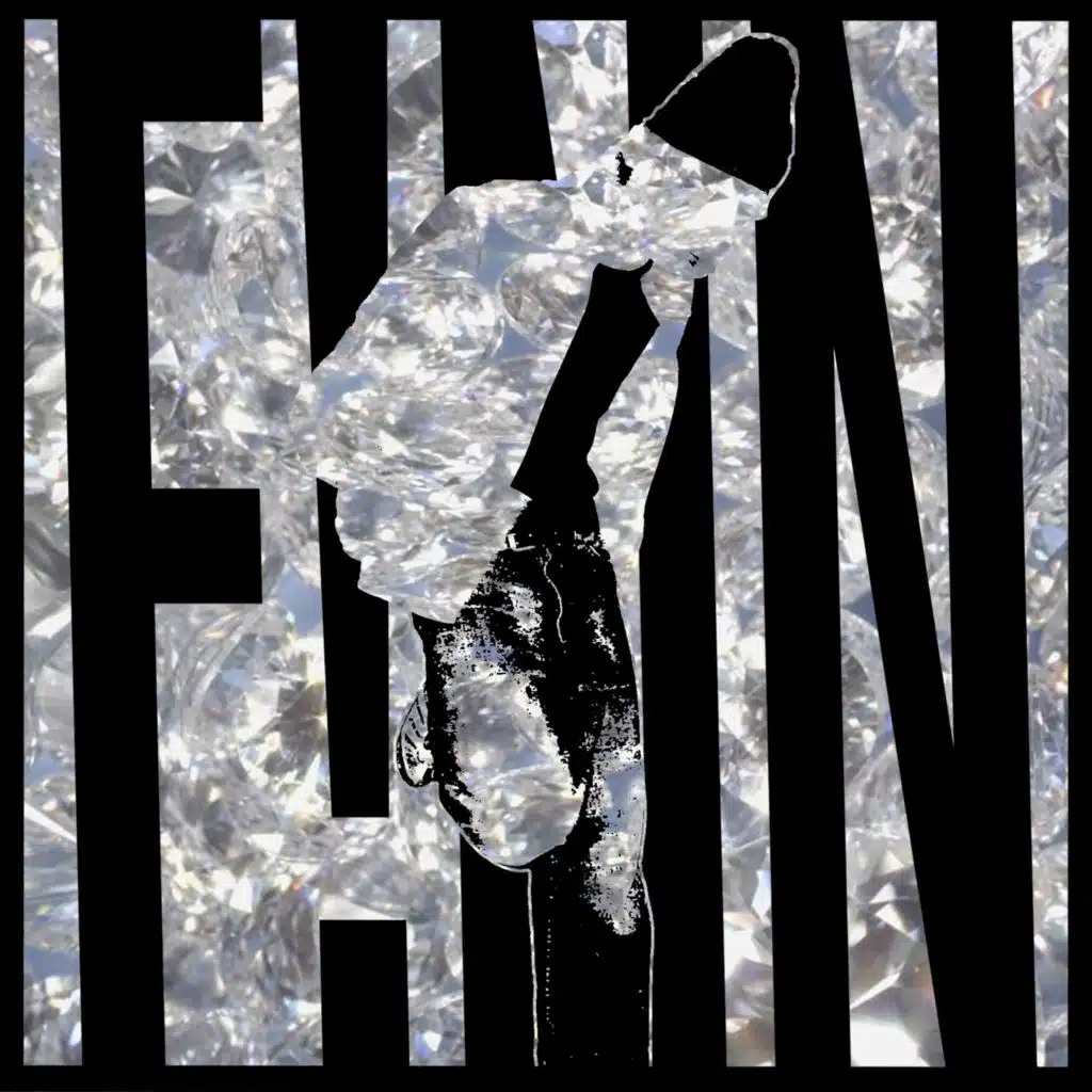 f!nn