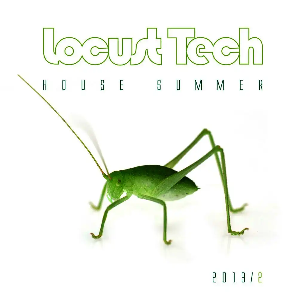 Locust Tech - House Summer 2013, Vol. 2