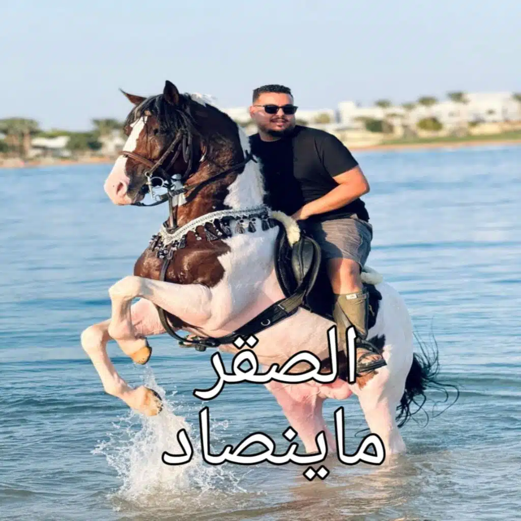 الصقر ماينصاد