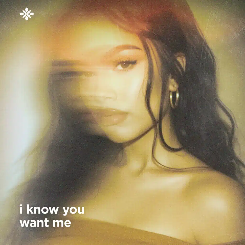 I Know You Want Me [Calle Ocho]