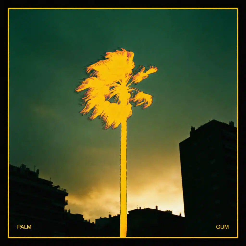 Palm Gum