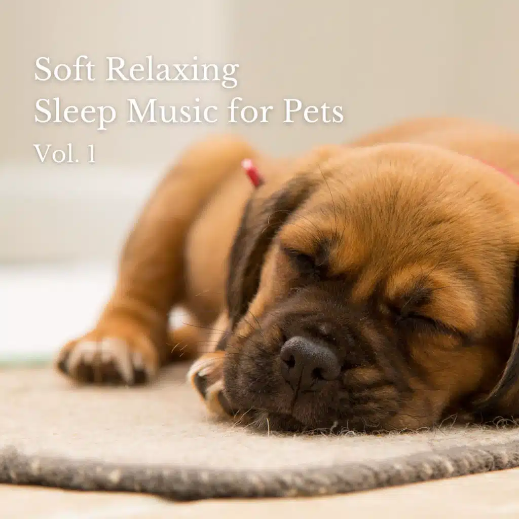 Soft Relaxing Sleep Music for Pets Vol. 1