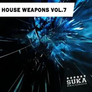 House Weapons, Vol. 7