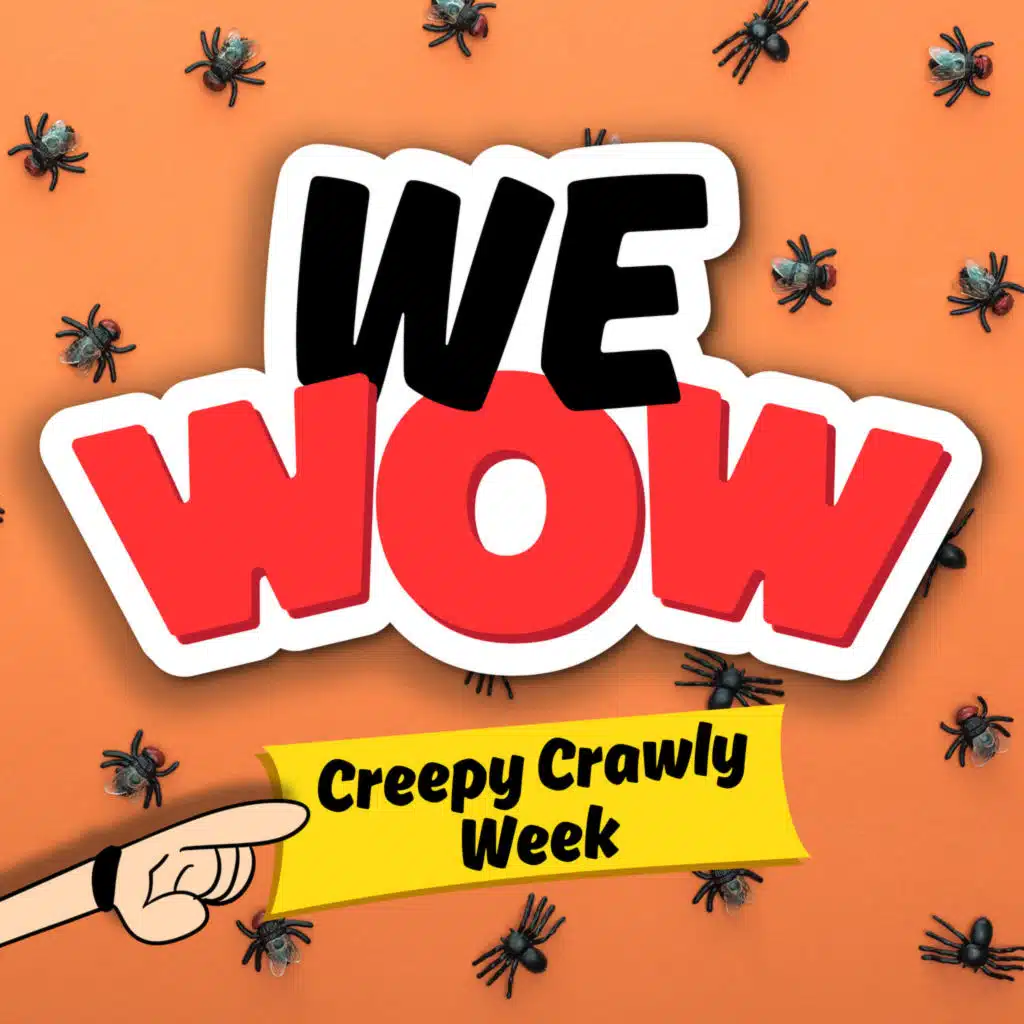 WeWow Creepy Crawly Week - Day 2: Bugs of Steel (10/28/25)