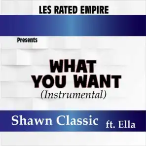 What You Want (feat. Ella) [Instrumental]