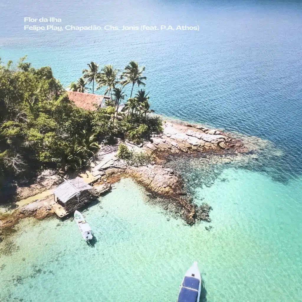 Flor da Ilha