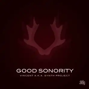 Good Sonority (A.K.A. Synth Project)