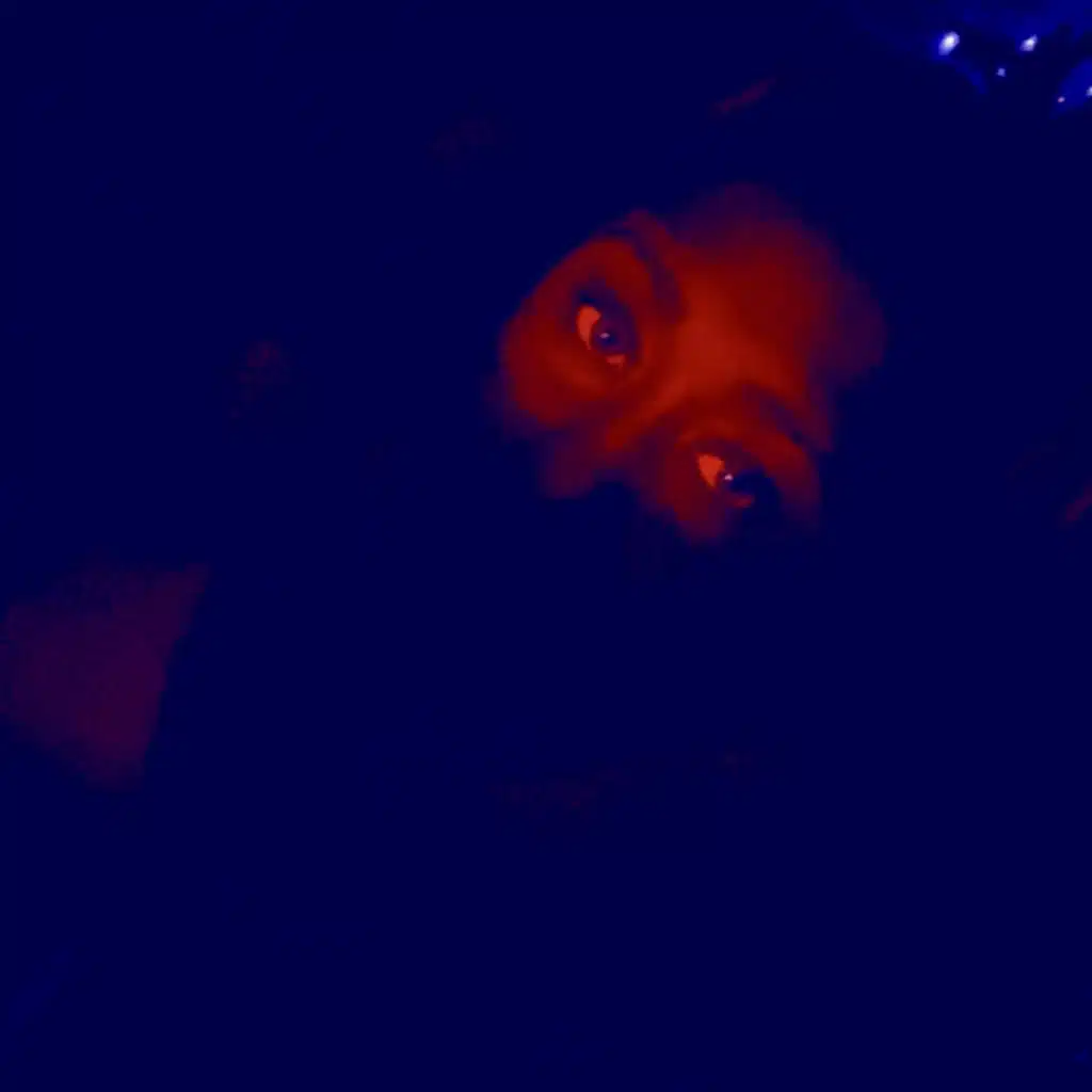 EYES DONT LIE