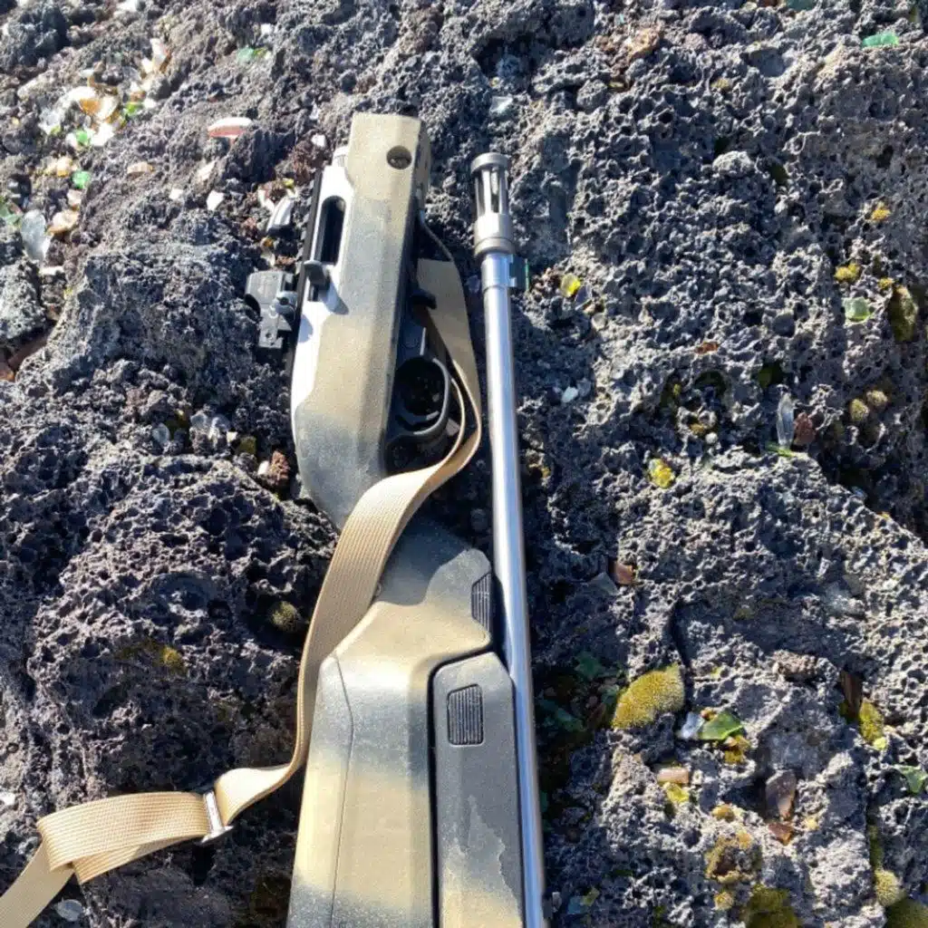 10/22 Variants - All Weather International Takedown